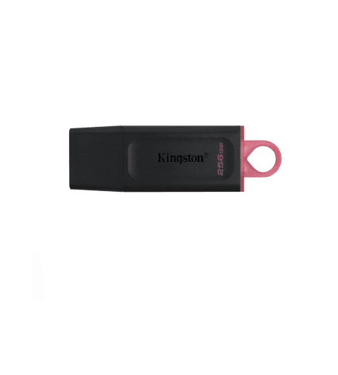 KINGSTAN 256 GB