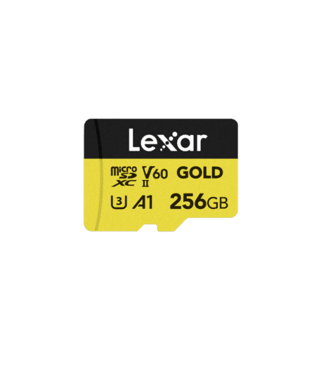 CARTE MEMOIRE LEXAR MICRO SDXC 256GB